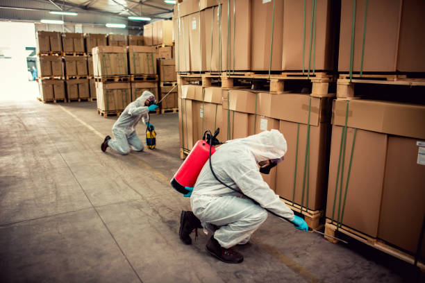 Best Best Pest Control Companies  in Morrison, IL