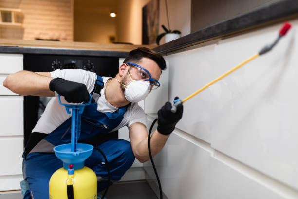 Best Pest Inspection Near Me  in Morrison, IL