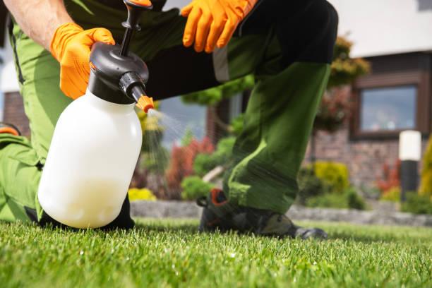 Best Commercial Pest Control Services  in Morrison, IL