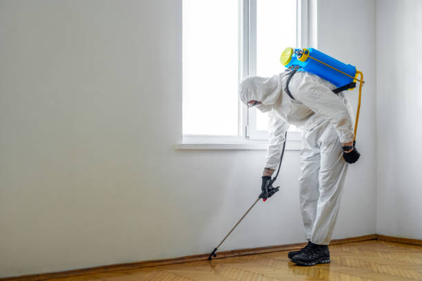 Best Residential Pest Control  in Morrison, IL