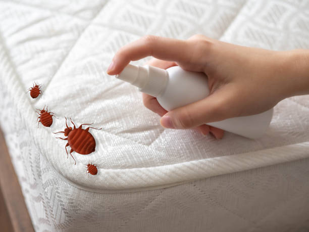 Pest Prevention Services in Morrison, IL