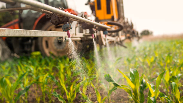 Best Ant Control Services  in Morrison, IL