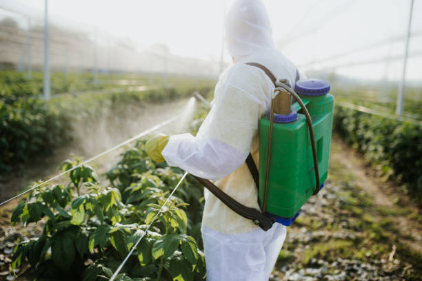 Best Affordable Pest Control Services  in Morrison, IL